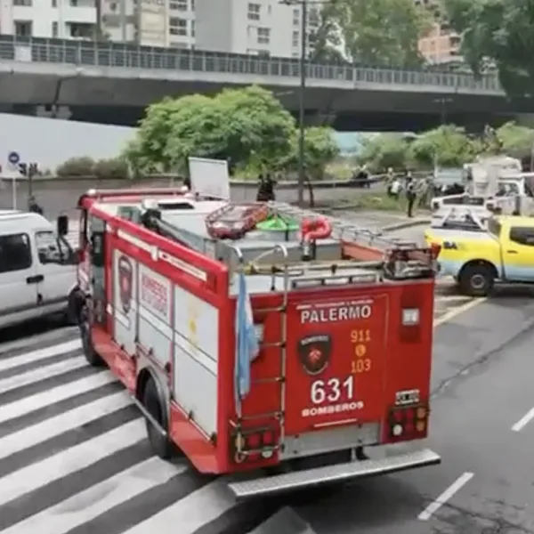 Un árbol cayó sobre dos colectivos en Belgrano: al menos cuatro heridos